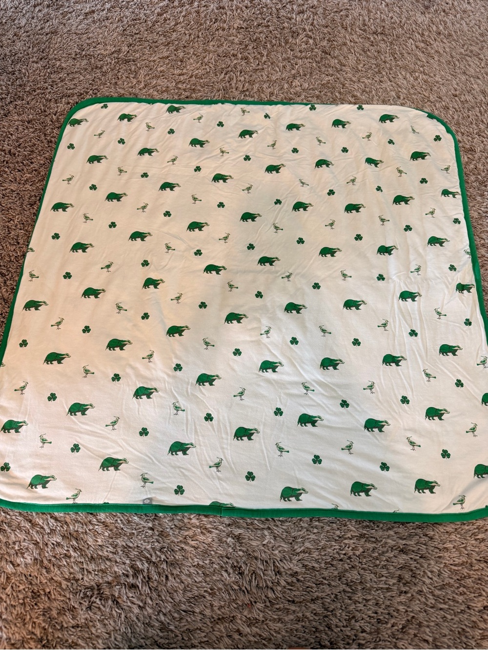 Kyte Baby Irish baby blanket